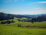 DSCN7787