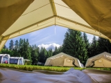 IMG_6861-Bearbeitet-Bearbeitet