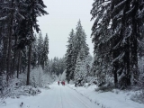 20180218_090341