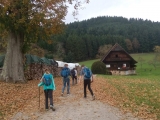 IMG_20171021_123504